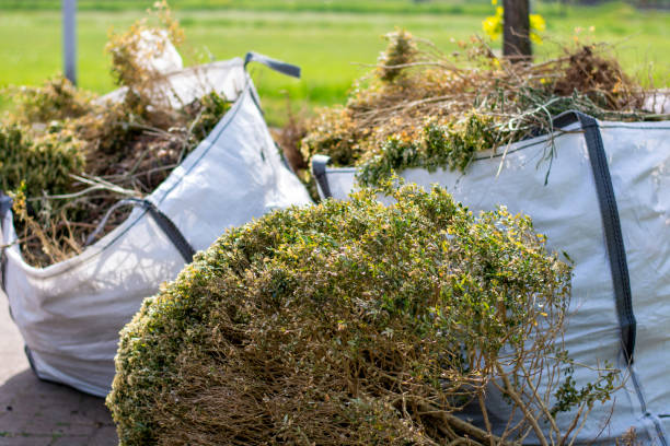 Best Moving and Downsizing Cleanouts  in Lincolnwood, IL